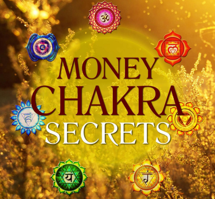 The Millionaires Handbook