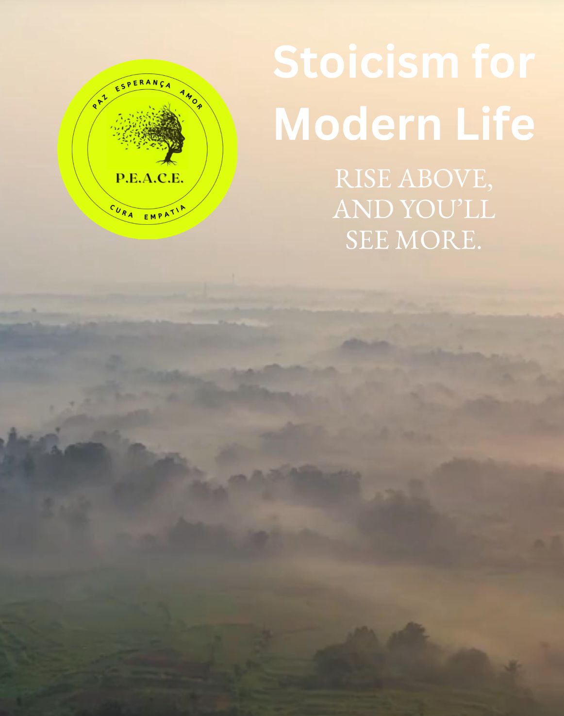 Stoicism for Modern Life - Rise Above and You’ll See More