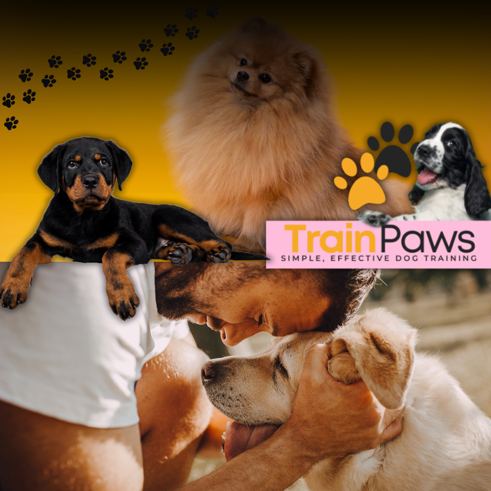 TrainPaws – Simple, effective dog training