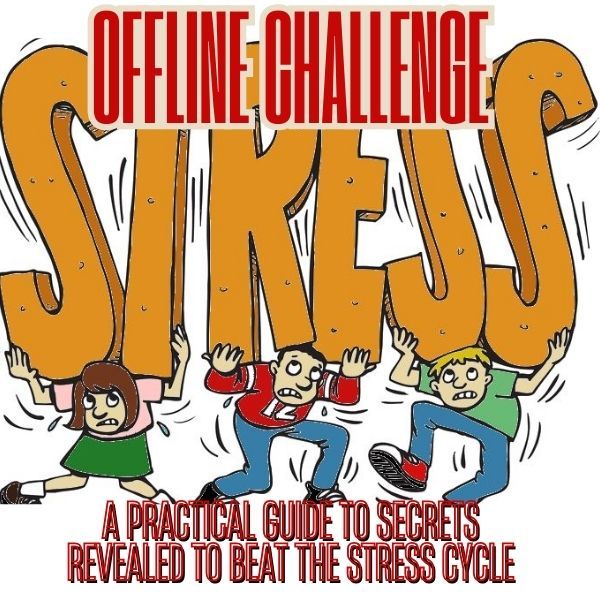 OFFLINE CHALLENGE: A PRACTICAL GUIDE TO SECRETS REVEALED TO BEAT THE STRESS CYCLE