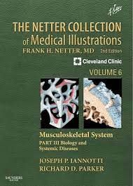 The Netter Collection of Medical Illustrations: Musculoskeletal System, Volume 6, Part III - Biology and Systemic Diseases, 2nd Edition