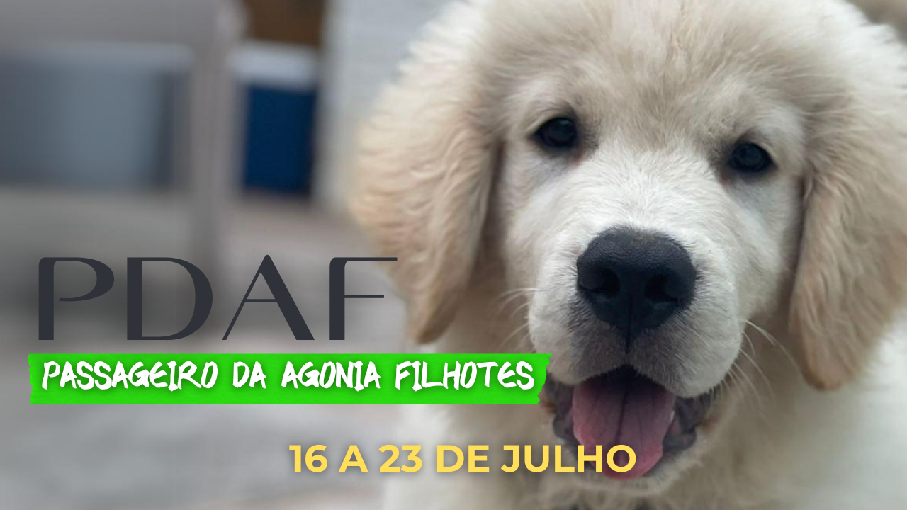 Passageiro da agonia FILHOTES - PDAF