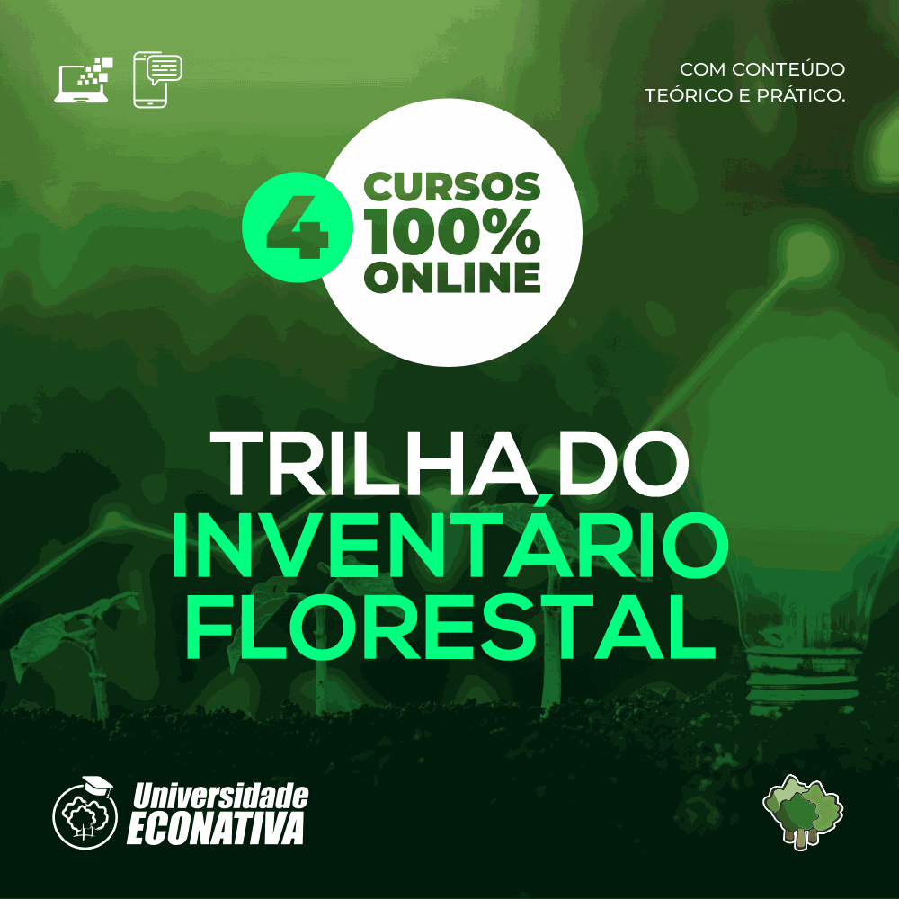 Trilha do Inventário Florestal