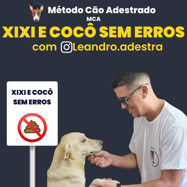 MCA - Xixi e Cocô Sem Erros