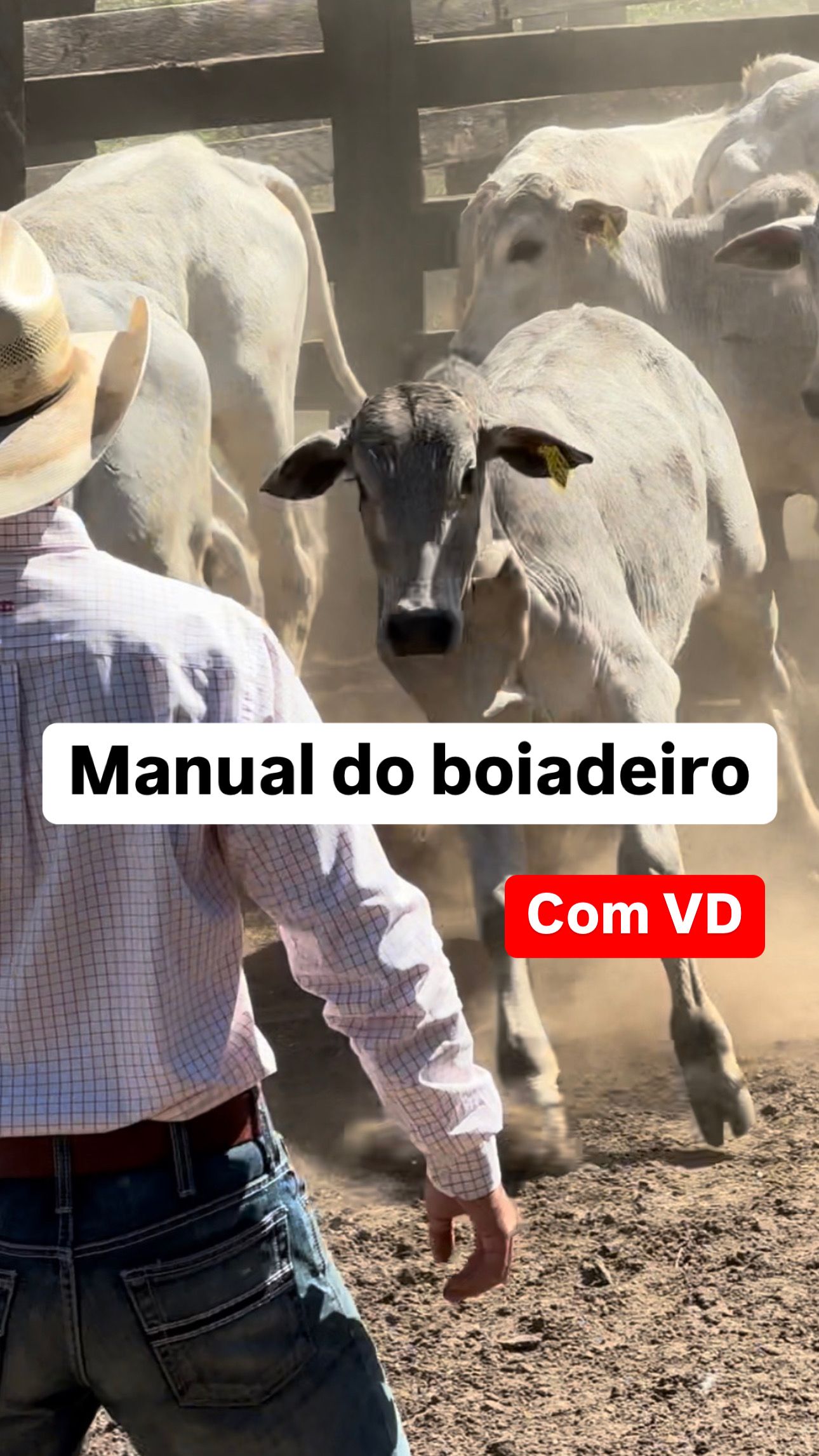 Manual do boiadeiro