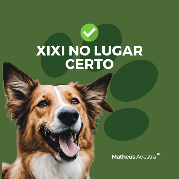 Xixi no Lugar Certo - MA