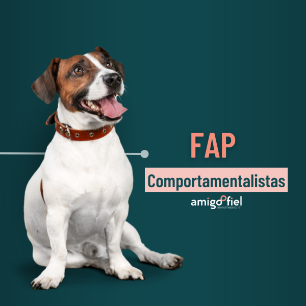 Formação em Adestramento Positivo | Comportamentalistas.