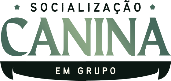 Socialização em Grupo