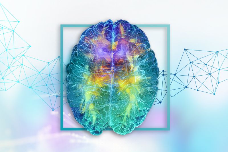 1. Diplomado de Salud Cerebral y Prevención del Deterioro Cognitivo