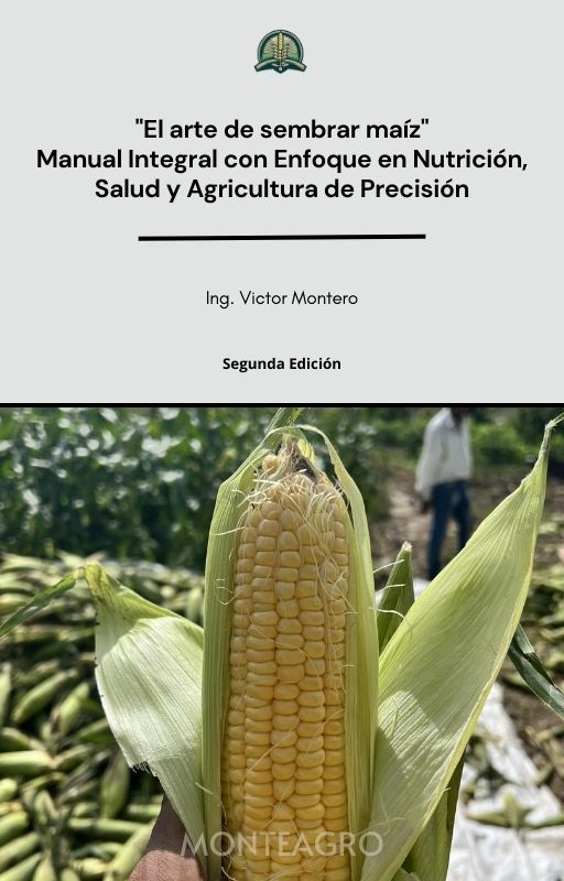 El arte de sembrar Maíz