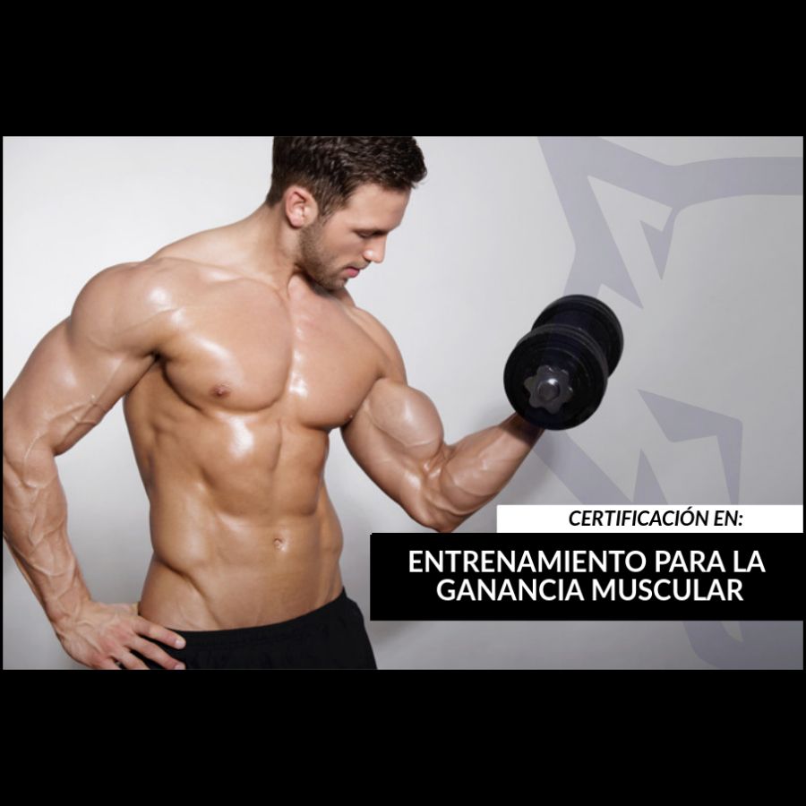 Entrenamiento y nutrición para la hipertrofia y estética