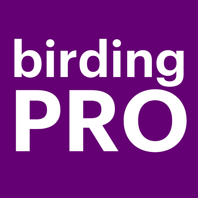 CURSO BIRDING PRO