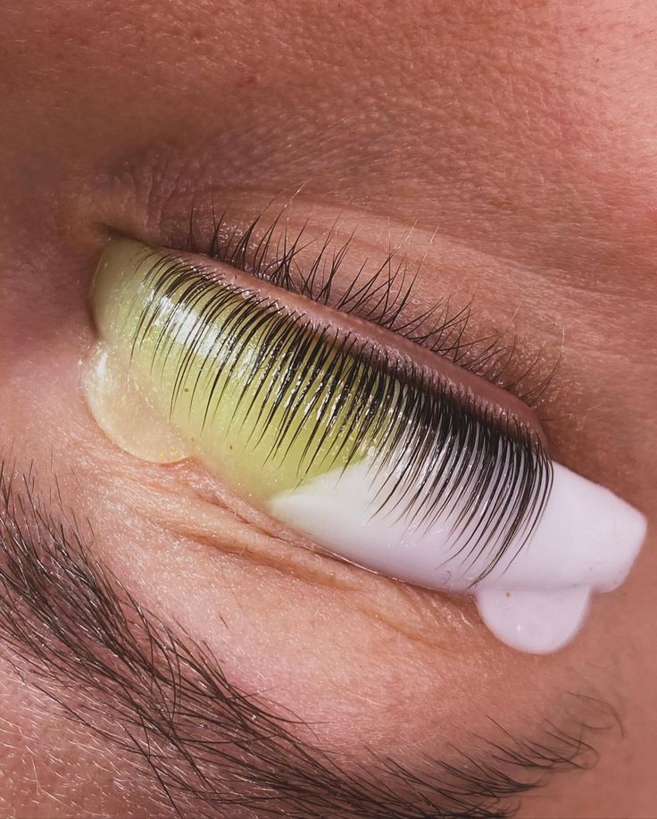 Guía Maestra de Moldes y Curvaturas en el Lash Lifting: Domina la Técnica con Precisión