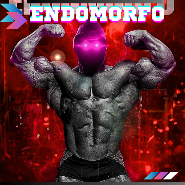 GUIA FITNESS ENDOMORFO