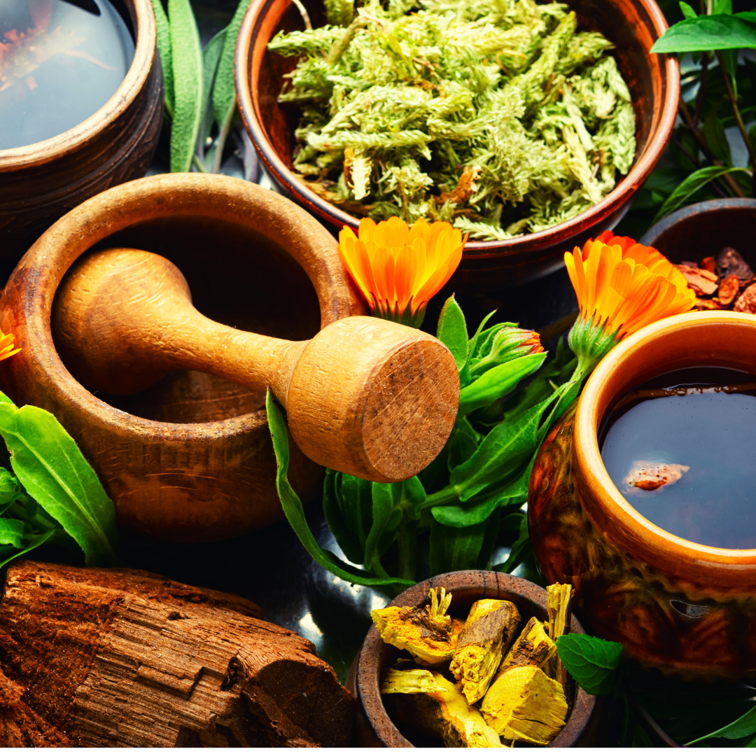 Curso de Herbolaria y Elaboración de Productos