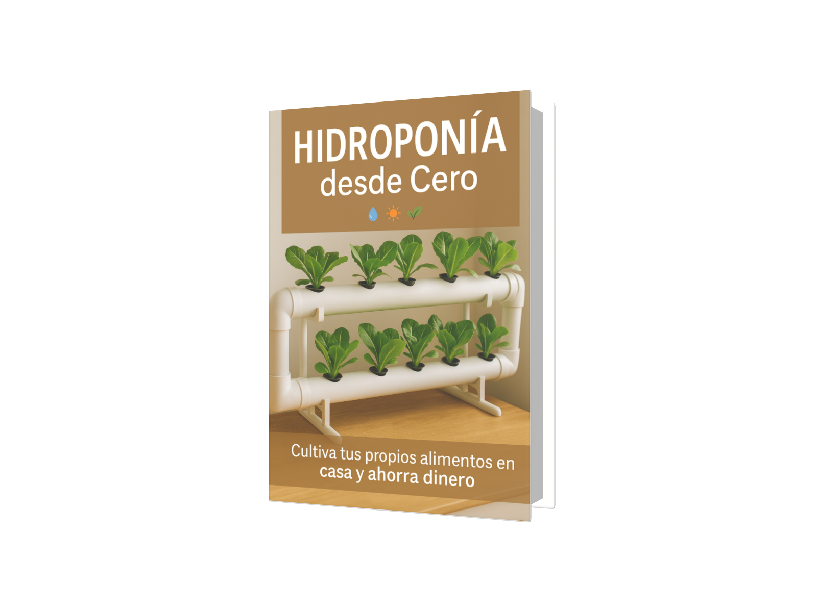 HIDROPONÍA DESDE CERO