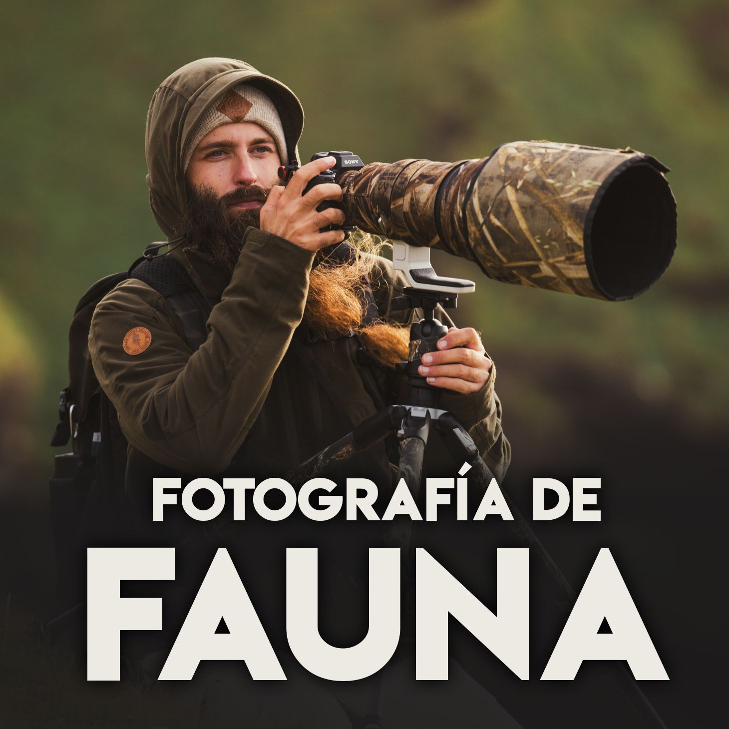 Curso de fotografía de fauna