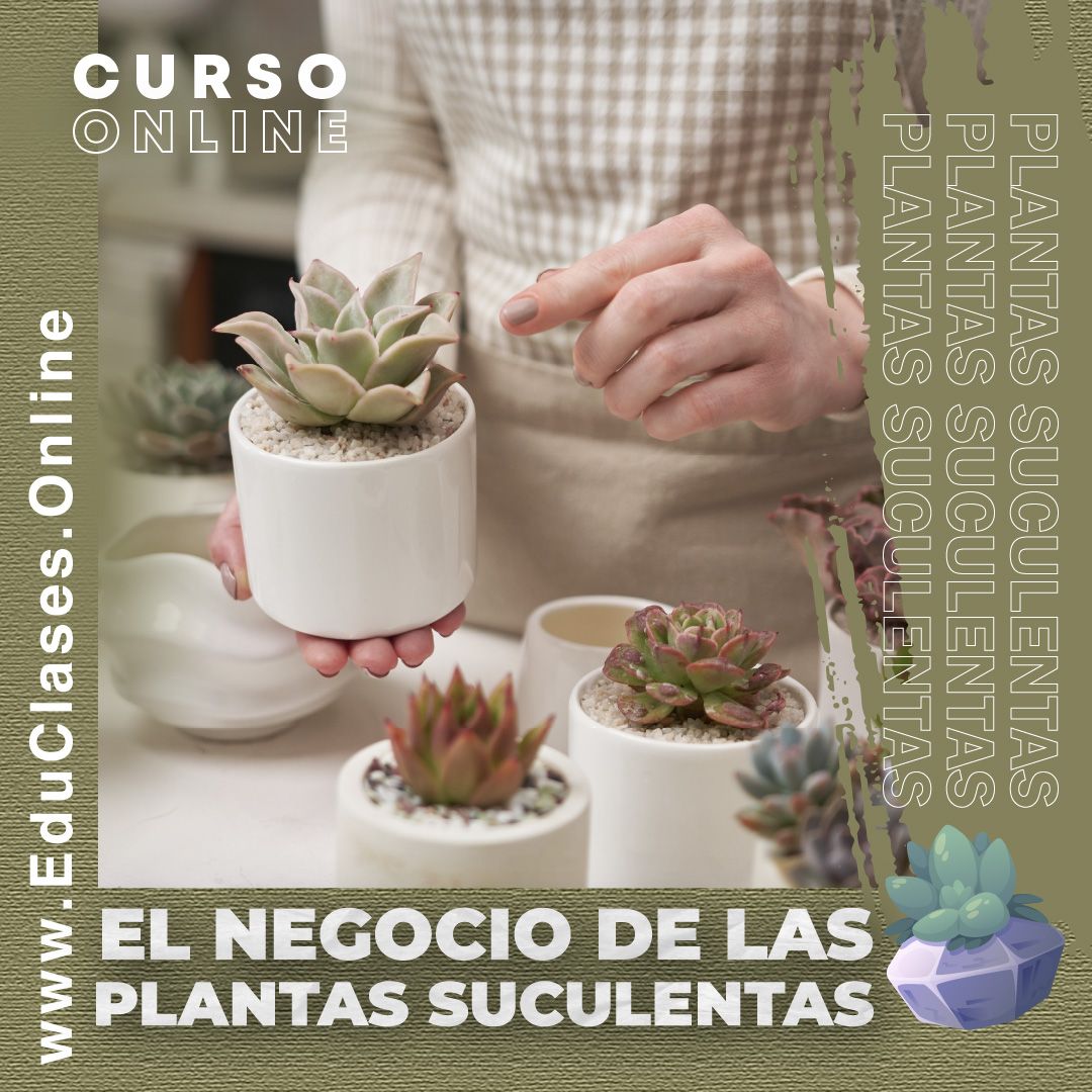 El Negocio De Las Plantas Suculentas