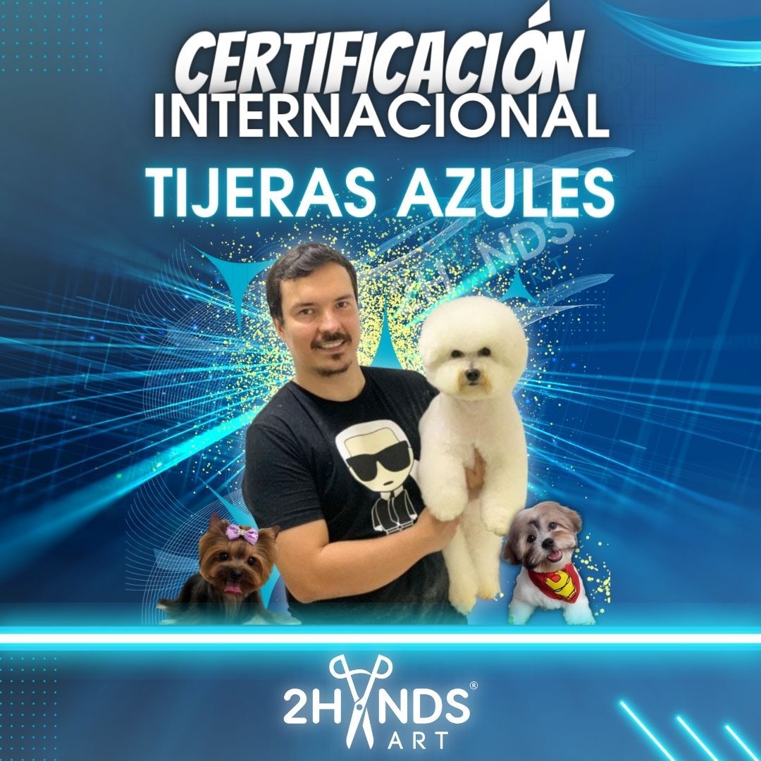 Certificación Internacional Tijeras Azules