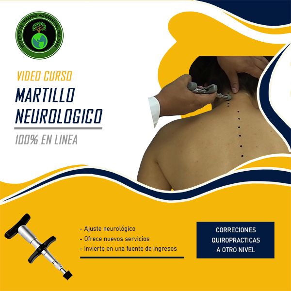 Curso Martillo Neurológico