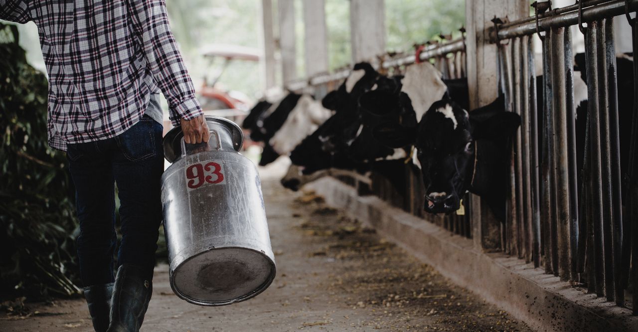 Técnico Auxiliar en Producción Lechera