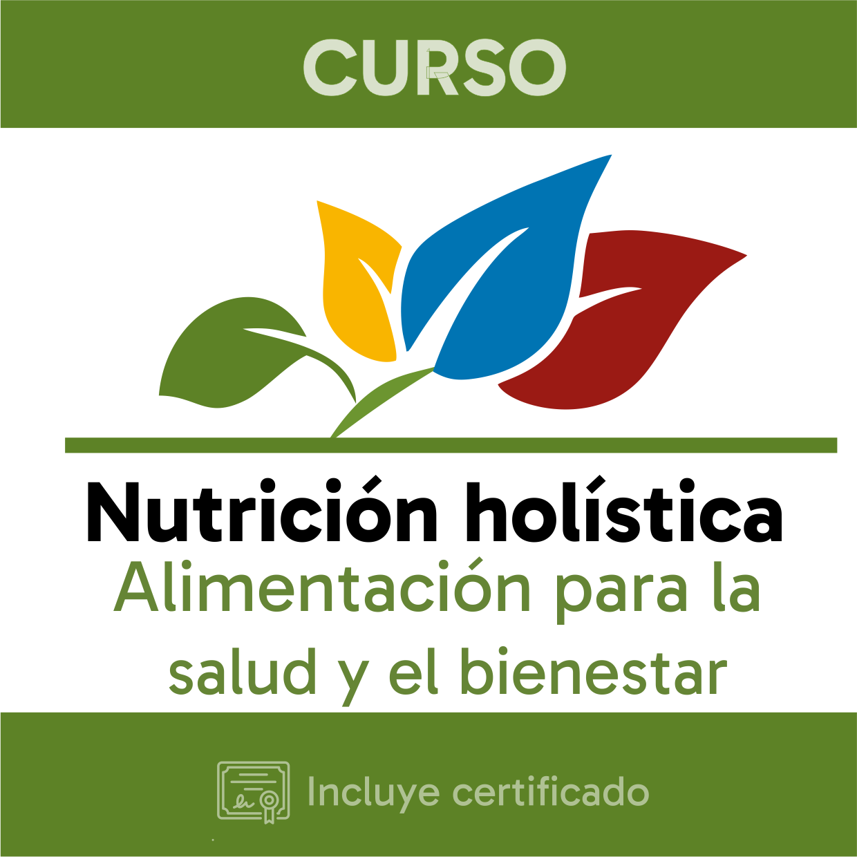Nutrición Holística: Alimentación para la Salud y el Bienestar