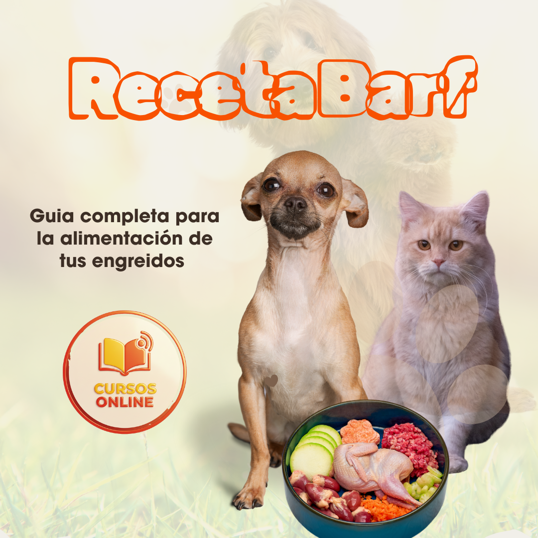 RECETA EQUILIBRADA BARF