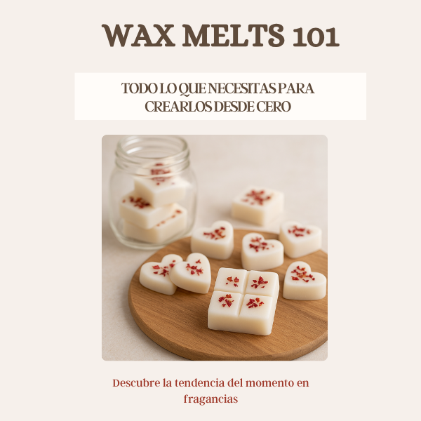 Wax Melts 101