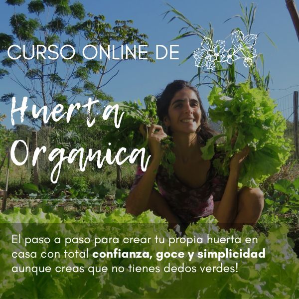 Curso de Huerta Orgánica Online