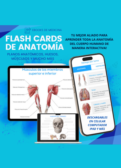FLASH CARDS DE ANATOMÍA 2024 (PARTE 1)