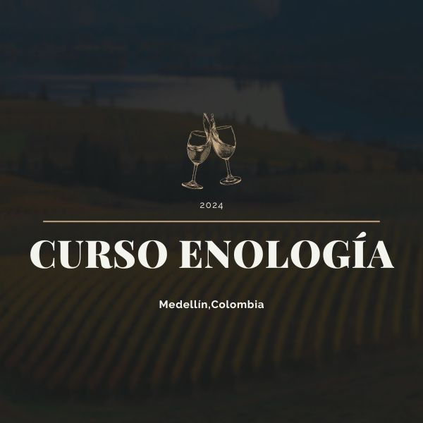 Descubre el mundo del vino