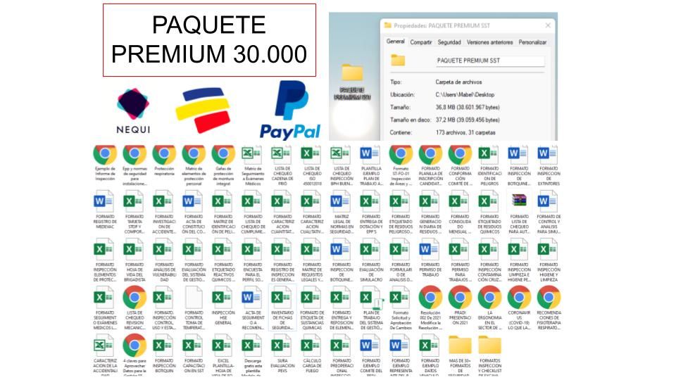 Paquete premium + paquete inicio sgsst
