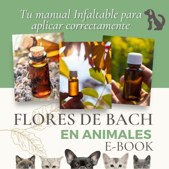 Manual Infaltable para aplicar correctamente Flores de Bach en animalitos.