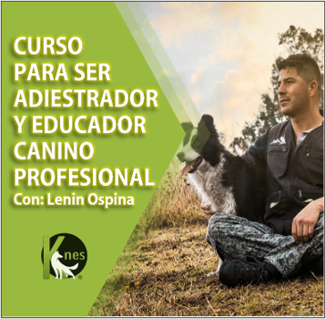 Curso para ser adiestrador y educador canino profesional