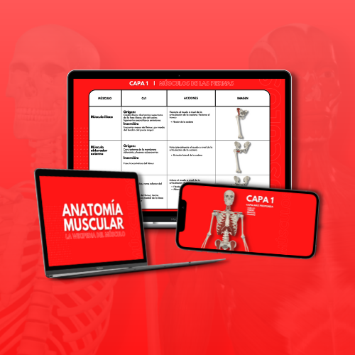 La Wikipedia del Músculo