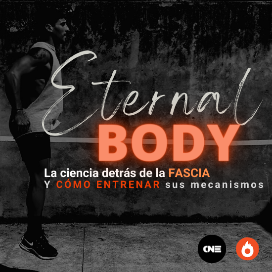 ETERNAL BODY: La ciencia detrás de la FASCIA y cómo entrenarla