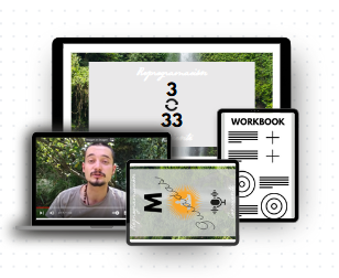 3.33 - Programa de Reprogramación Consciente