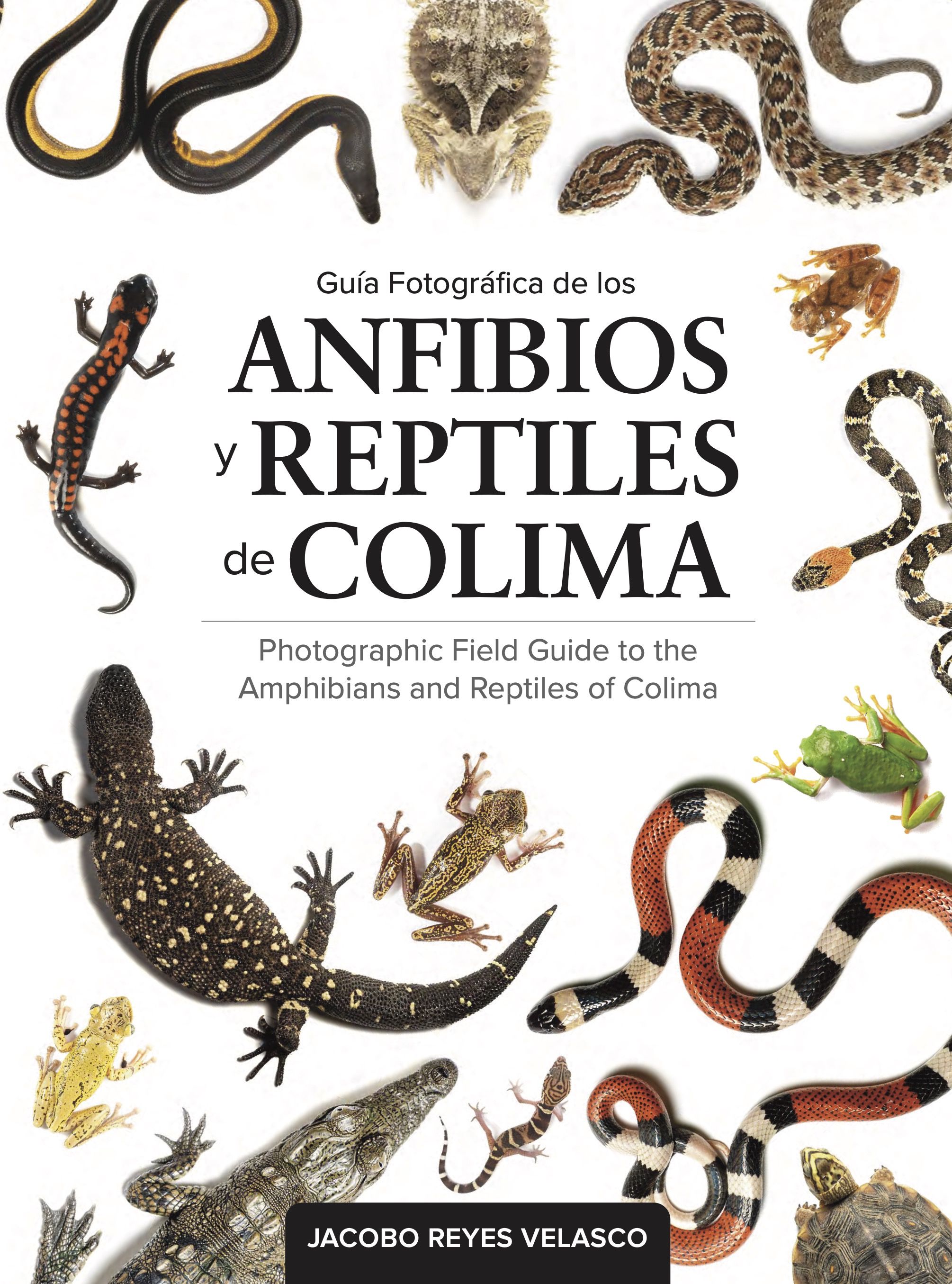 Guía fotográfica de los anfibios y reptiles de Colima (E-book)