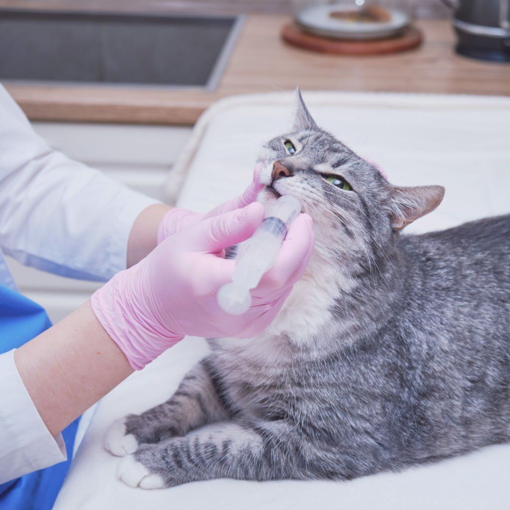 Certificado + 8 Masterclass de Farmacología 2022