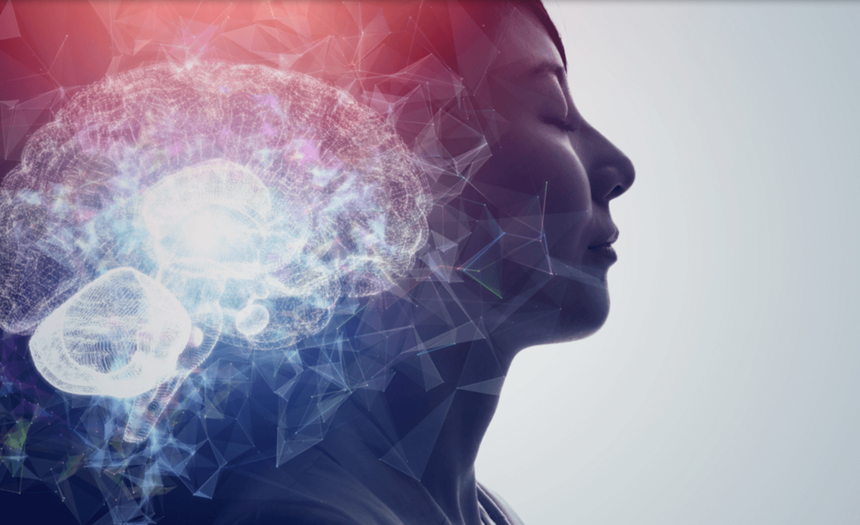 Bases neurointegrativas en el control motor