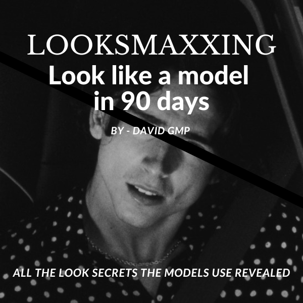 Looksmaxxing PRO GUIDE