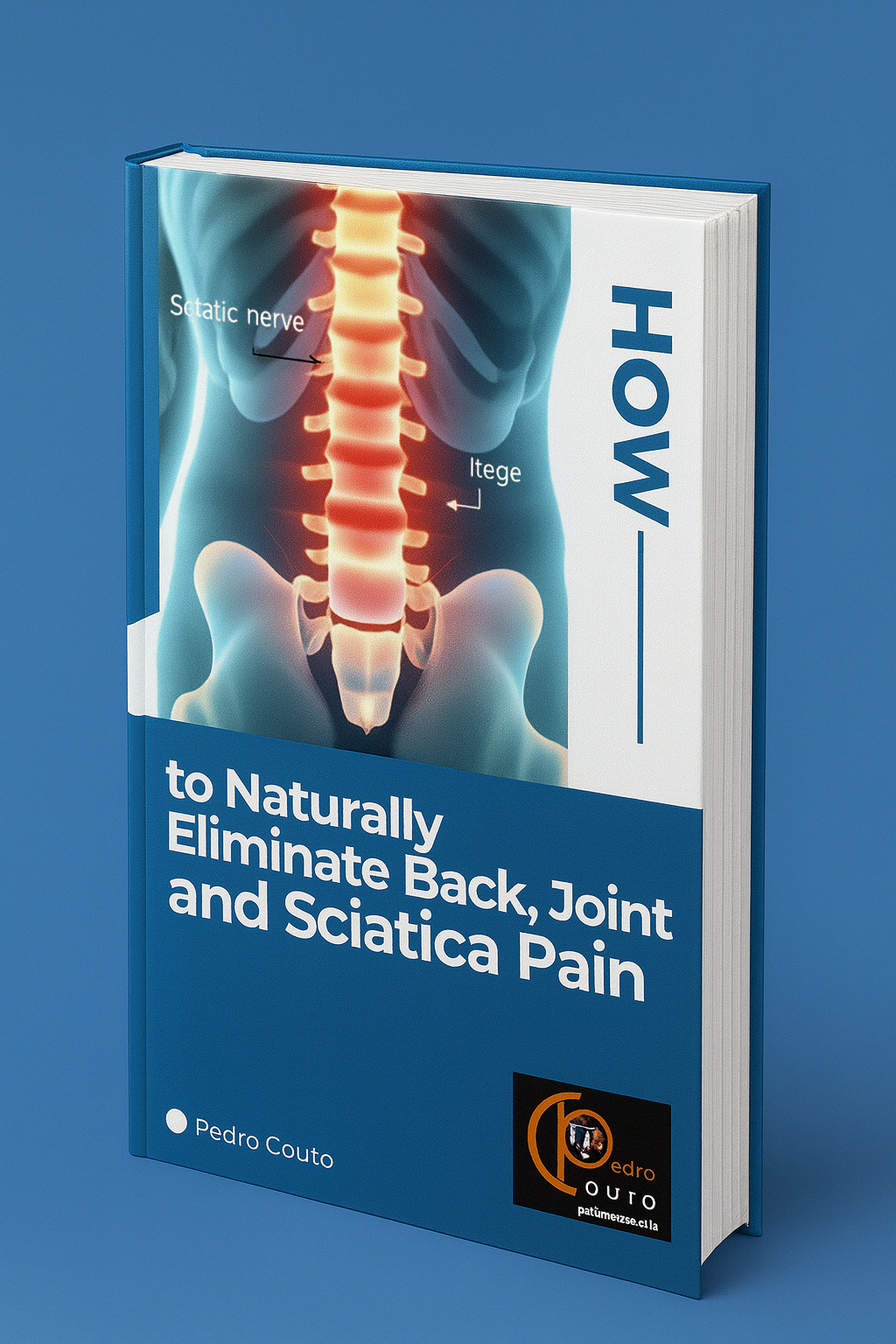 How to Naturally Eradicate Back, Joint and Sciatic Pain