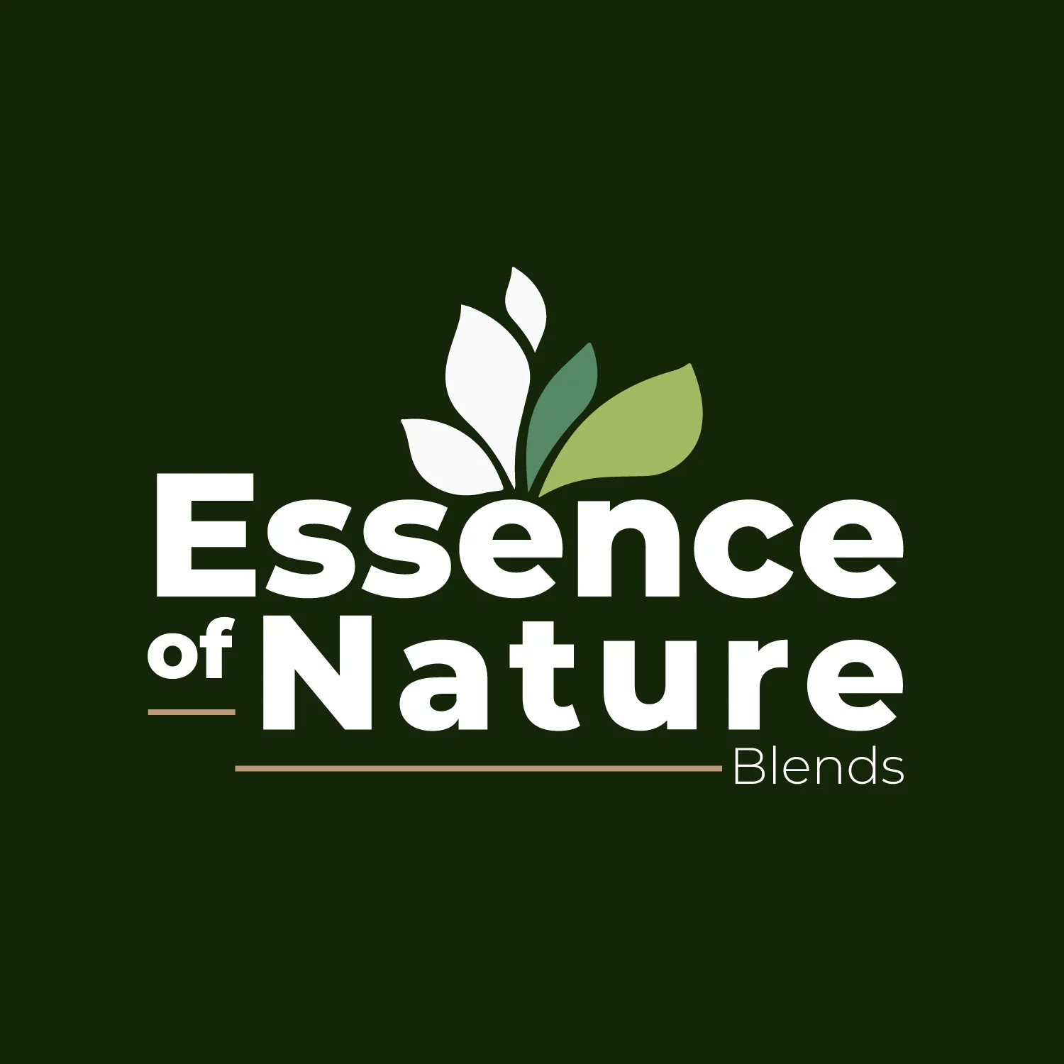 Essence of Nature: A Journey Through Essential Oils