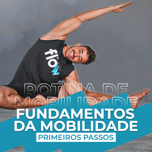 Mobility fundamentals