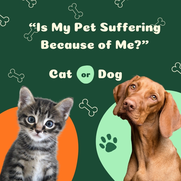 Is My Pet Suffering Because of Me?
