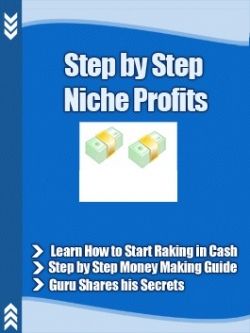 Step by step nicho profits