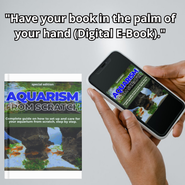 AQUARISM FROM SCRATCH