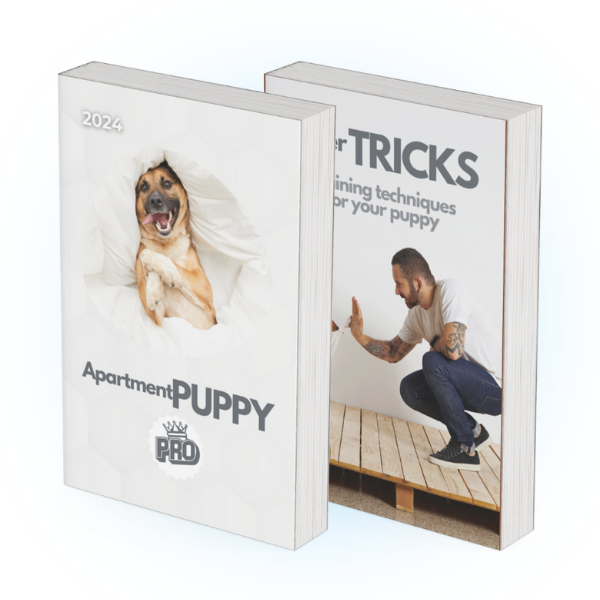 Promotion: ApartmentPUPPY + SuperTRICKS