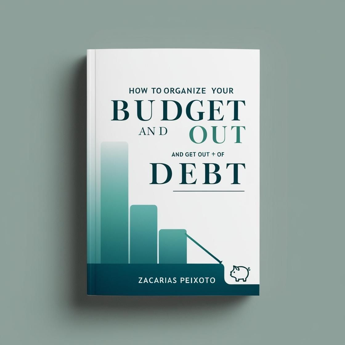 ????How to Organize Your Budget and Get Out of Debt