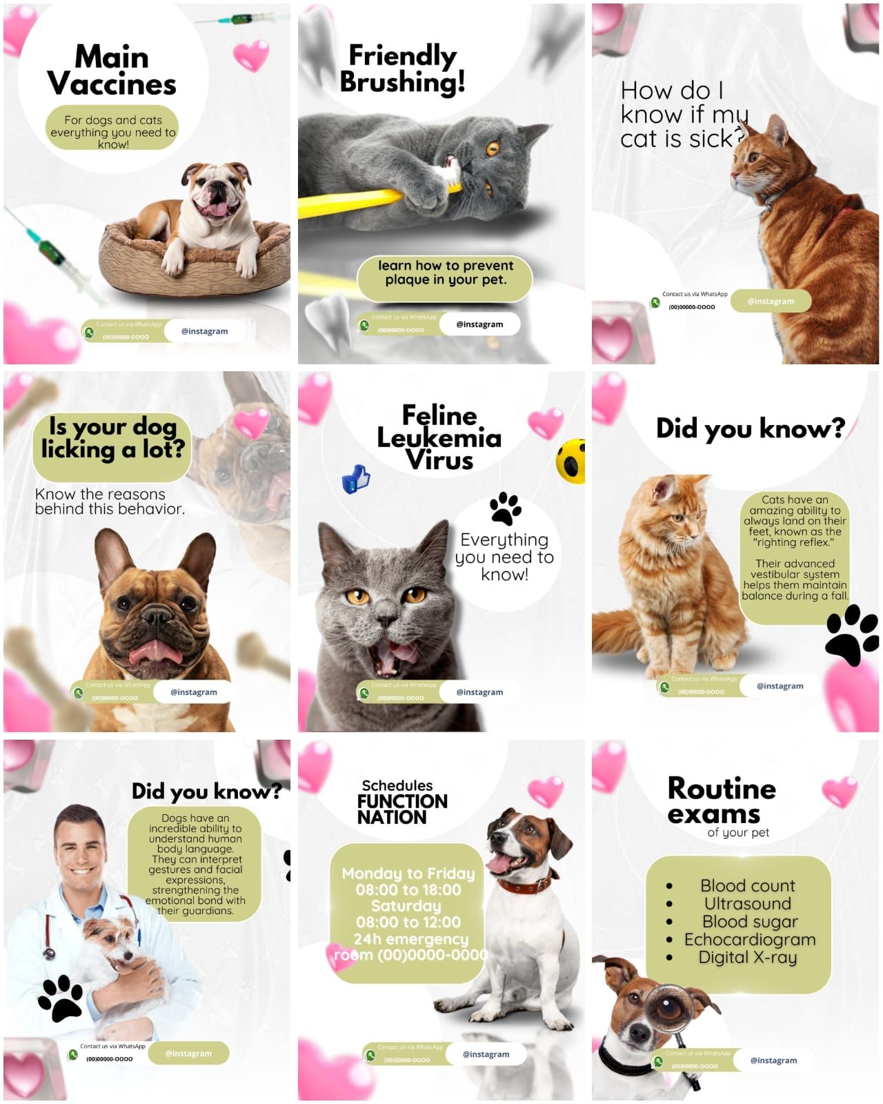 CANVA VETERINARY PACK INGLÊS